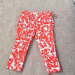 Reitman's women's cropped pant